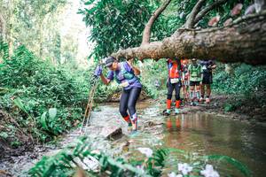 BIB: 
                            <button type="button" onclick="openModal(25517870)" class="btn btn-primary btn-sm float-right btn-popup" data-toggle="modal" data-target=".modal-high-quality">
                        <i class="fas fa-shopping-cart"></i> Add to Cart
                    </button>
                                            <button type="button" onclick="isThisMe(25517870, true)" class="btn btn-success btn-sm float-right btn-popup btn-isme hidden" data-toggle="tooltip" data-placement="bottom" title="นี่คือรูปของคุณใช่ไหม คลิกที่นี่เพื่อเอาเข้าอัลบั้ม">
                        <i class="fas fa-plus"></i> Add to album
                    </button>
                    <button type="button" onclick="isThisMe(25517870, false)" class="btn btn-warning btn-sm float-right btn-popup btn-isnotme hidden">
                        <i class="fas fa-ban"></i> Remove from album
                    </button>